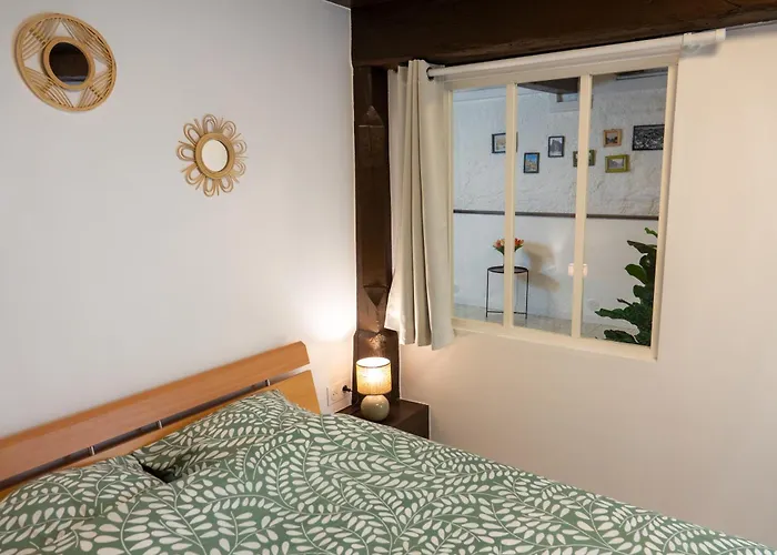 Apartment Alsacien Au Coeur De Rosheim